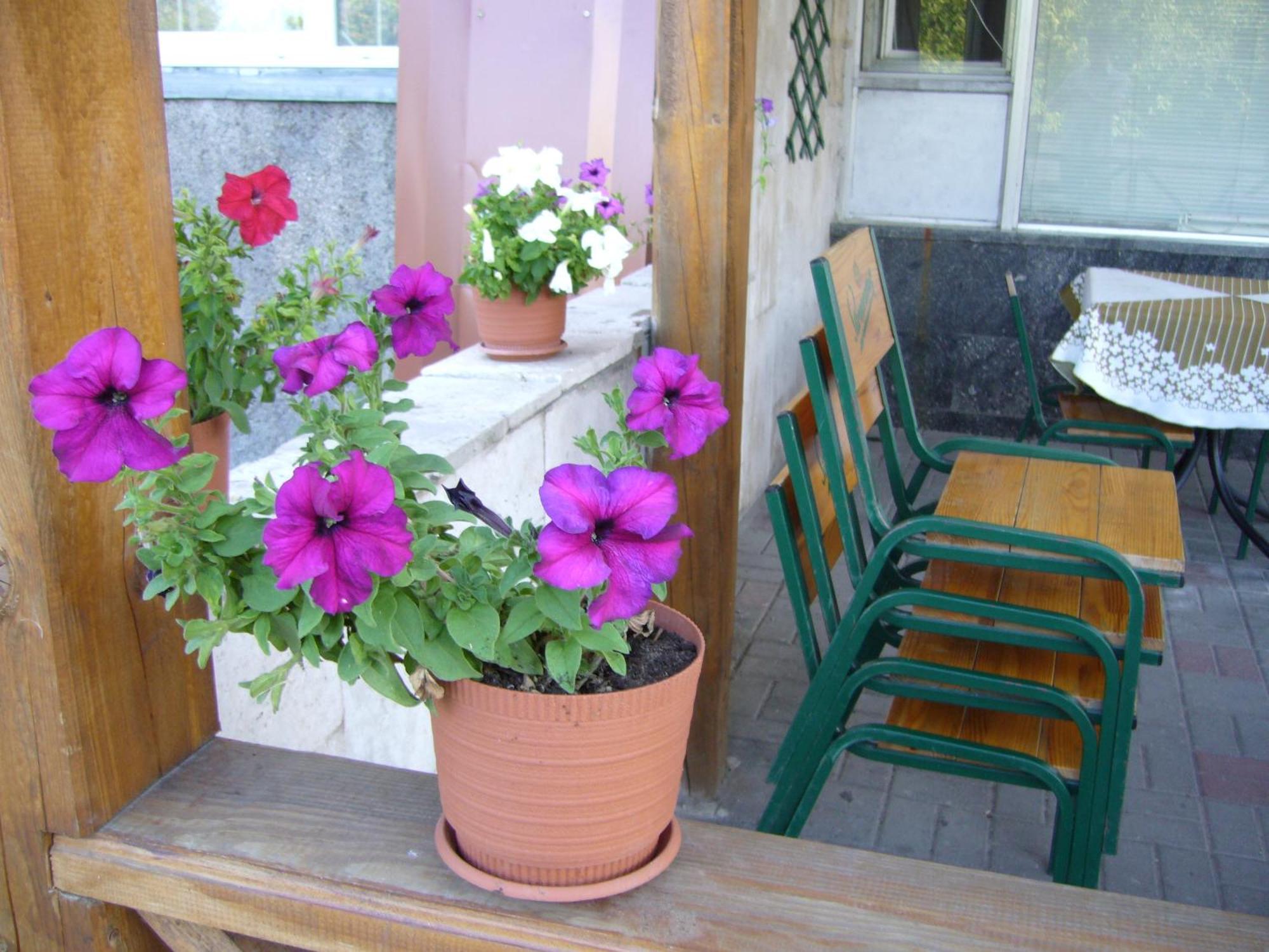 Hotel Profspilkovyi 루치크 외부 사진